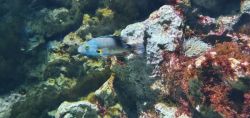 Acquario - Milano (5)